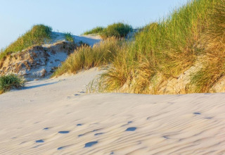 Dunas de arena y hierba verde junto al mar bajo un cielo azul despejado en un día soleado de playa.