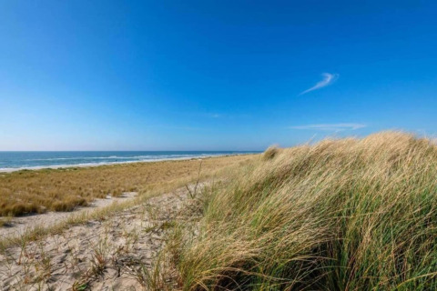 Udsigt over klitter og hav under en blå himmel nær 