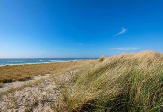 Zandduinen en zeezicht bij "Charming Chalet in Sint Maartenszee" in Nederland onder een blauwe lucht.