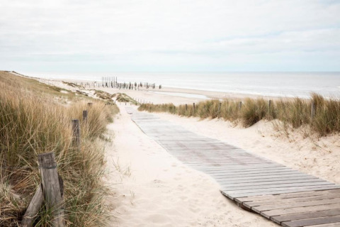 Houten wandelpad in de duinen leidt naar een rustige zandstrand aan zee met gras en bewolkte lucht.