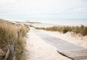 Træsti gennem klitterne fører til en rolig sandstrand med græs og havudsigt under en overskyet himmel.