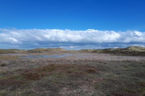 Vista desde una casa de playa hacia dunas, charcos de agua y un cielo azul con nubes al fondo.