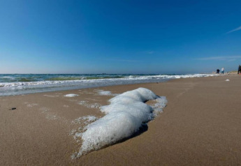Skum fra bølgerne skyller op på sandstranden under en klar blå himmel med havet i baggrunden.