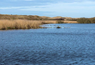 Vista de un lago tranquilo con juncos y dunas bajo un cielo azul en Charming Chalet en Sint Maartenszee, Países Bajos.
