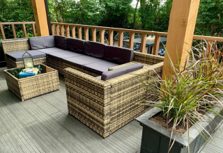 Moderne chalet-terras in Nederland met rotanmeubilair, paarse kussens en groene planten.