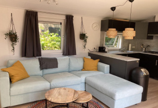 Lys, moderne stue og køkken i chalet med sofa, gul puder og hængende planter i Holland.