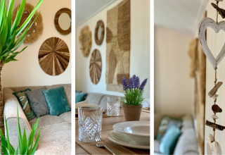 Intérieur chalet accueillant avec plantes vertes, coussins décoratifs et art mural aux Pays-Bas.