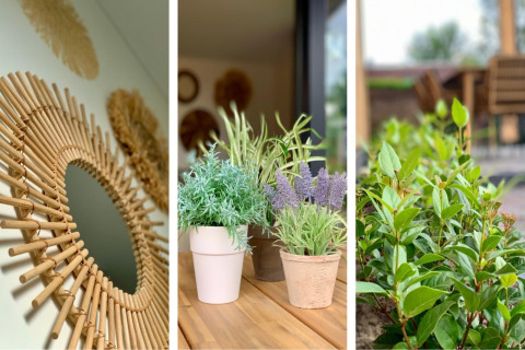 Spiegelontwerp, binnenplanten en tuin aan Pleasant chalet met veranda in Nederland.
