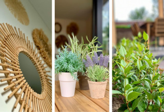Spejldesign, indendørs potteplanter og udendørs have på Pleasant chalet med veranda i Holland.