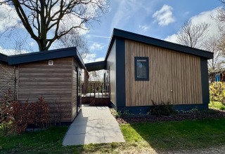Moderne træbeklædt chalet nær Sint Maartenszee Strand, omgivet af grønne planter og blå himmel.