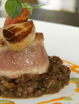 Fois Gras-Vodatent-Camping-Pittoresque-Saint-Parthem_-Midi-Pyrénées_-Francia