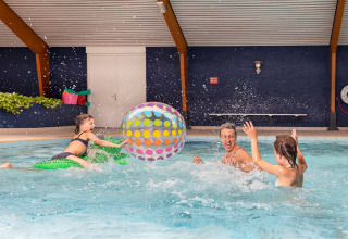 Familie leger i en indendørs swimmingpool med en farverig bold i Chalet nær Sint Maartenszee Strand, Holland.
