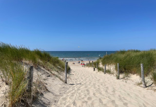 Zandweg tussen grasduinen naar het Sint Maartenszee strand met blauwe lucht en zee in Nederland.