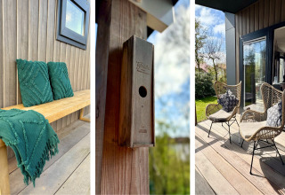 Espace extérieur du chalet près de la plage Sint Maartenszee aux Pays-Bas avec banc, coussins et nichoir.