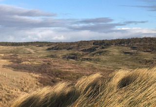 Afbeelding van duinen en gras nabij een strandhuis in Sint Maartenszee, dicht bij Sandy Beach, Nederland.