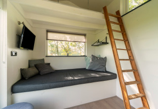 Knusse woonruimte in een tiny house in Nederland met slaapzolder, grijze sofa en houten ladder.