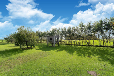 Una pequeña casa de madera en el campo verde, rodeada de árboles, en Tiny House en los Países Bajos.