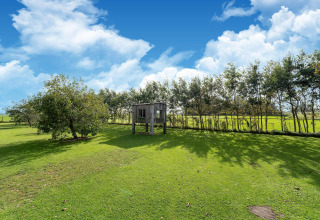 Una pequeña casa de madera en el campo verde, rodeada de árboles, en Tiny House en los Países Bajos.