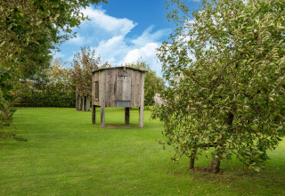 Pequeña casa de madera elevada en un jardín verde con árboles, fotografiada en Tiny House en Países Bajos.