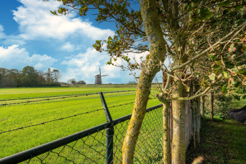 Groen grasveld met windmolen in de verte, bomen en omheining bij een Tiny House in Nederland.