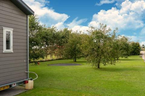 Tuin met gazon, bomen en een ingegraven trampoline naast een tiny house in Nederland.