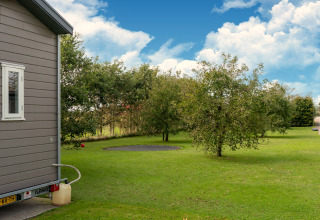 Tuin met gazon, bomen en een ingegraven trampoline naast een tiny house in Nederland.