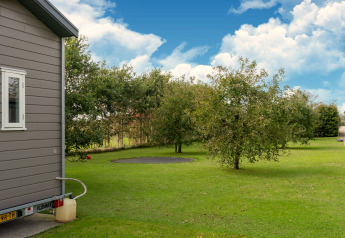 Tuin met gazon, bomen en een ingegraven trampoline naast een tiny house in Nederland.