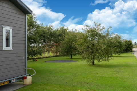 Tuin met gazon, bomen en een ingegraven trampoline naast een tiny house in Nederland.