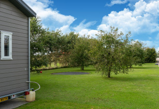 Jardín con césped, árboles y una cama elástica enterrada junto a una tiny house en los Países Bajos.