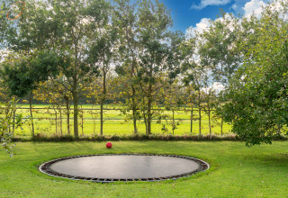 Grasveld met ingegraven trampoline en rode bal, omringd door bomen en hekwerk in Nederland.