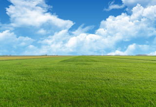 Campo verde bajo un cielo azul con nubes blancas, visto desde el Tiny House en los Países Bajos.