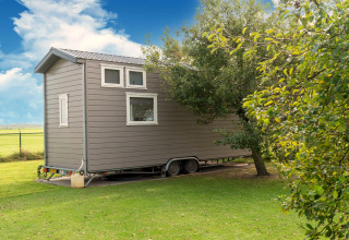 Een tiny house op wielen geparkeerd op gras naast bomen onder een blauwe lucht in Nederland.