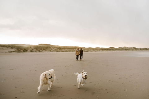 Due persone passeggiano con due cani felici sulla spiaggia di Juttershut Duynpark a Callantsoog, Paesi Bassi.