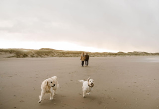 Due persone passeggiano con due cani felici sulla spiaggia di Juttershut Duynpark a Callantsoog, Paesi Bassi.