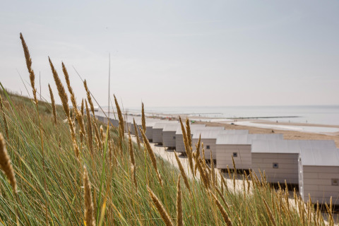 Case sulla spiaggia del Resort Beach Houses Julianadorp 1 tra dune erbose e mare nei Paesi Bassi.