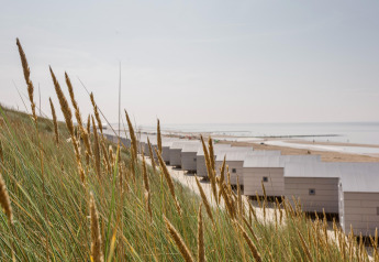 Strandhuisjes bij Resort Beach Houses Julianadorp 1, omringd door duinen en zee in Nederland.