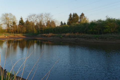 Fishing - Voda-Tent - Camping Aller-Leine-Tal - Essel-Engehausen - Lower Saxony - Germany