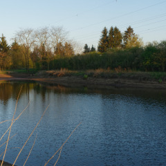 Angeln - Voda-Zelt - Camping Aller-Leine-Tal - Essel-Engehausen - Niedersachsen - Deutschland