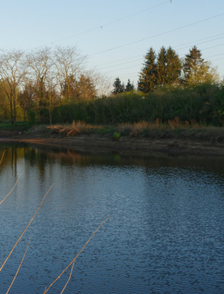 Pesca - Voda-Tent - Camping Aller-Leine-Tal - Essel-Engehausen - Baja Sajonia - Alemania