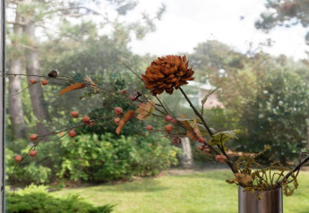 Bloem in vaas voor raam met uitzicht op tuin bij Resort Beach Houses Julianadorp in Nederland.