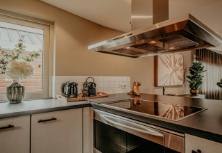Moderne keuken op het woonboot Waterpark de Meerparel 5 in Nederland met planten en kookplaat.