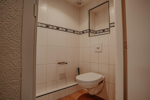 Baño pequeño con inodoro suspendido, azulejos decorativos y espejo en una casa flotante en Países Bajos.