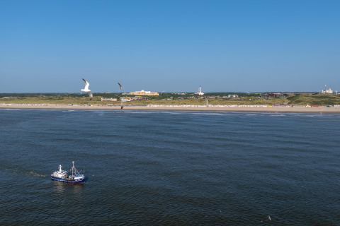 View of the sea with a fishing boat, seagulls, and a beachfront with buildings under a clear blue sky.