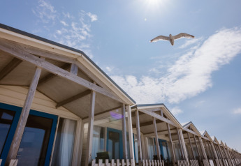 Strandhuisjes met blauwe kozijnen onder een zonnige hemel, met een meeuw die erboven vliegt.