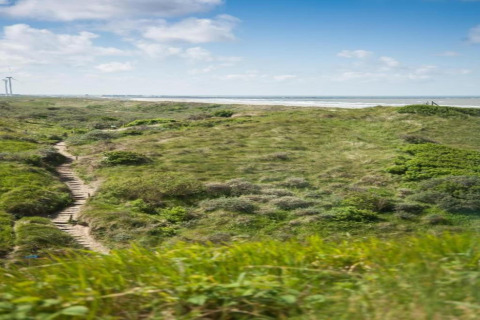 A sandy path winds through grassy dunes towards the beach, with the sea and distant wind turbines in view.