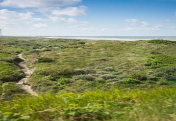 Een pad slingert door groene duinen richting het strand, met uitzicht op zee en windmolens in de verte.