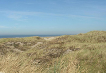 Uitzicht op met gras begroeide duinen aan de kust, met de zee op de achtergrond, vanuit een strandhuis.