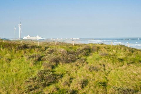 View from a beach house over grassy dunes, with wind turbines, a cruise ship, and the ocean in the distance.