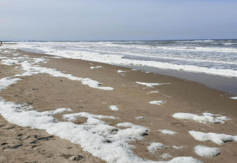 Strand met bruin zand, zeeschuim op de kust en golven onder een licht bewolkte hemel.