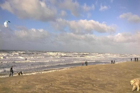 People walking dogs on a wide sandy beach with waves, a blue sky, fluffy clouds, and a kite surfer in view.